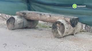 von Frohburg & Bockwitzer See nach Borna 3 Januar 2022