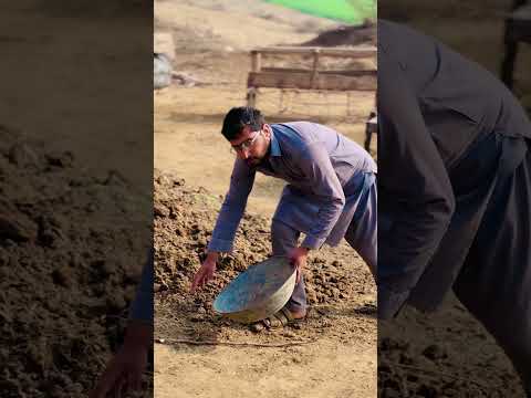 cute cat saved the gober🤫😅 #cat #funny