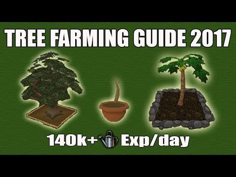 Tree Patch Rs3