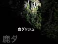 channel