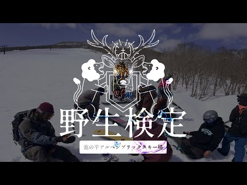 野生検定2025 池の平アルペンブリックスキー場