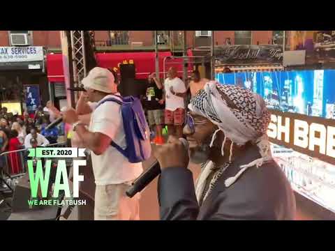 BUSH BABEES LIVE @ 5X5 BLOCK PARTY IN BEDSTUY - HIP HOP 50TH…. WAF🌳