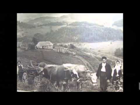 „Cântă naĭcă Radule” - Stanisa Paunovic