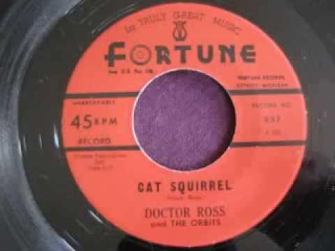 Doctor Ross "Cat Squirrel''