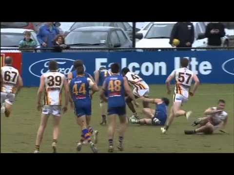 VFL Round 11 Mark and Goal of the Day