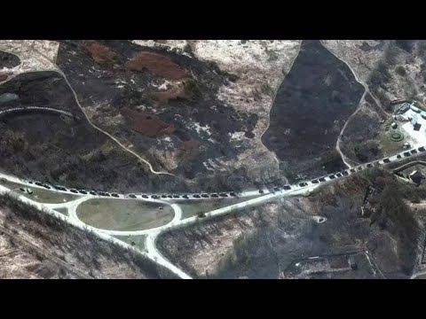 Local 4 News at Noon -- March 3, 2022