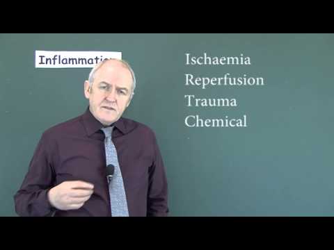 Inflammation 6, Causes of SIRS (Systemic Inflammatory Response Syndrome)