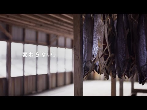 Ciudad de Murakami, Prefectura de Niigata, Escena de producción de pescado fresco de Maruto, salmón salado (salmón salado)