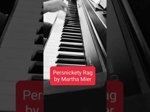 Persnickety Rag by Martha Mier