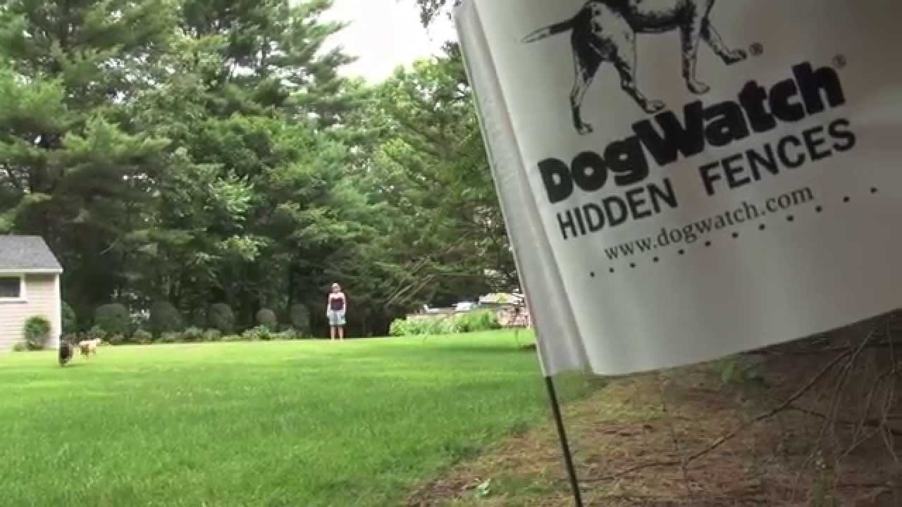 DogWatch® of Cape Cod