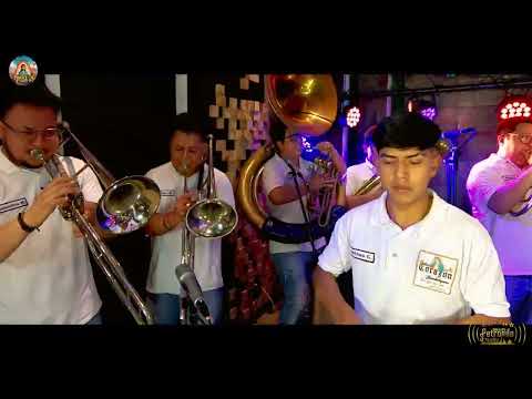 El Burro Loco - Banda Corazón Guadalupano Session Live en PETRONILA STUDIO