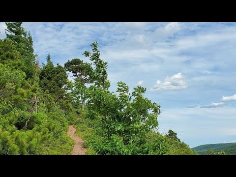 Park & Friends - V3 712