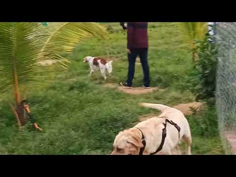 Me at therpup. Bangalore