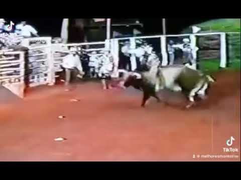 Touro Cobra Criada - Cia de Rodeio Gaivota