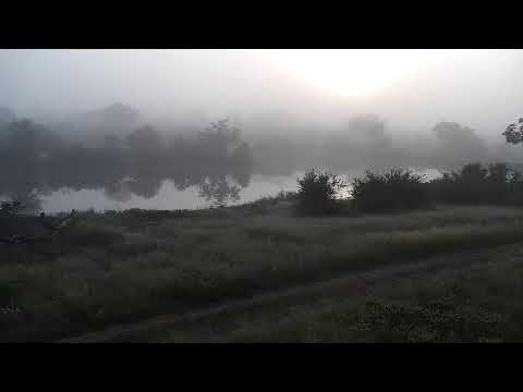 Djuma Private Game Reserve Live Stream