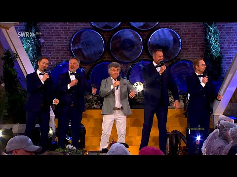 Stimmen der Berge & Andy Borg - Böhmen-Medley - (Sommer-Spaß mit Andy Borg, 07.06.2025)