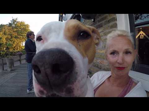 download lagu mp3 mp4 Zandzeebar, download lagu Zandzeebar gratis, unduh video klip Zandzeebar