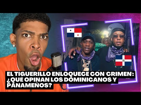 Are Barbel and Rochy RD in El Tiguerillo's sights? Their reaction will leave you speechless. #elt...