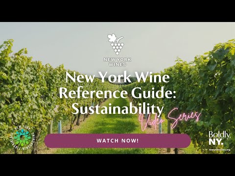 New York Wine Reference Guide: Sustainable New York Wines