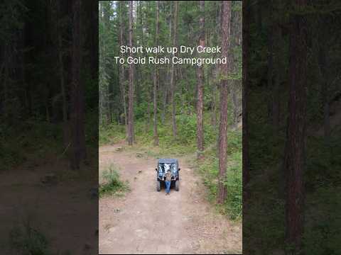 Short walk at Gold Rush Campground Cover
