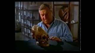 Chariots Of The Gods - The Mysteries Continue