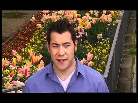 Benjamin Grund - Der Lindenbaum 2010