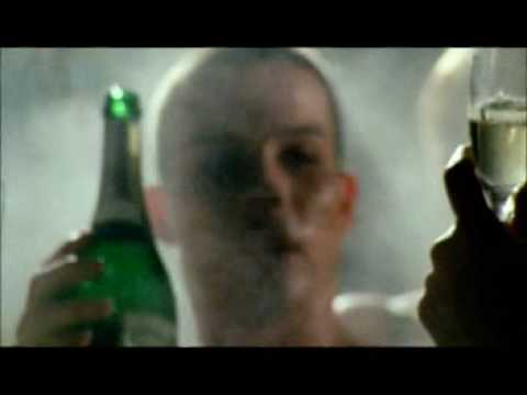 cistychov miky mora zverina akcia jasna