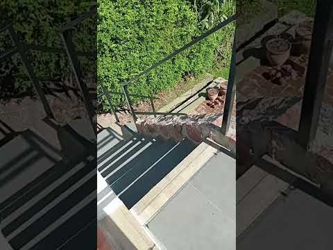 NUESTRO AUSPICIANTE "POSADA LA FLOR DEL CAMINO" II