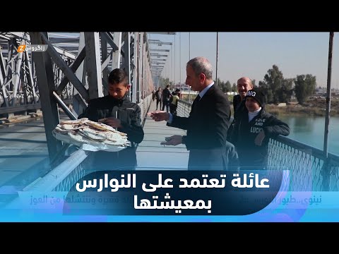 شاهد بالفيديو.. #نينوى..   طيور #النورس على جسر #الموصل العتيق تُعيل عائلة فقيرة وتنتشلها من العوز