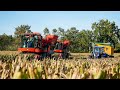 🇫🇷 XL RECOLTE DE MAIS SEMENCE 🌽 | Corn Picker Bourgoin B410 | POQUE in France