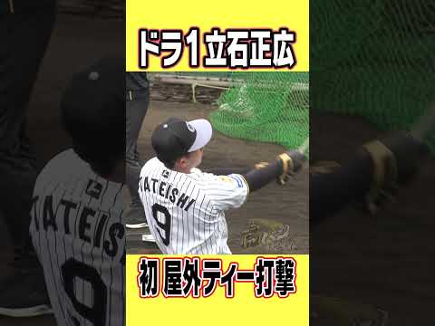 【豪快スイング】新人立石が今キャンプ初の屋外ティー打撃！#shorts #虎バンチャンネル #阪神タイガース#立石