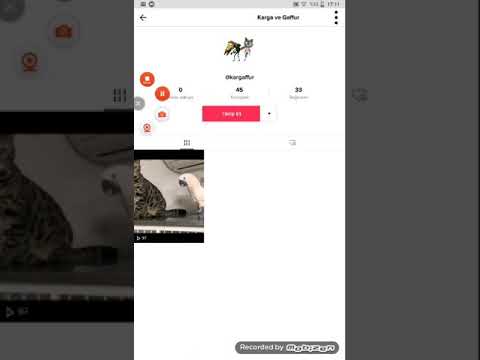 karguli ve gaffur abimin açtığı tik tok ve Instagram sayfası