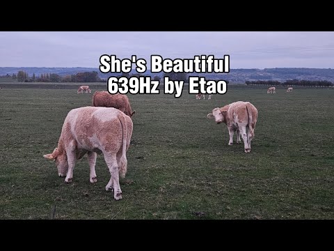 She's Beautiful 639Hz by Etao (Heart Chakra Frequency)