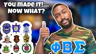 What To Expect as a Neophyte... Pros and Cons of being a neo | NPHC advice