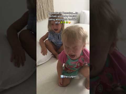 TINY Beetle 🪲 Makes Baby FREAK OUT in Hilarious Moment  #britainandbaylaa #shorts #funny