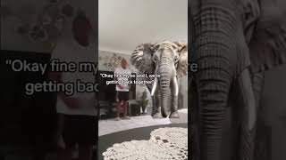 We gotta address the elephant in the room