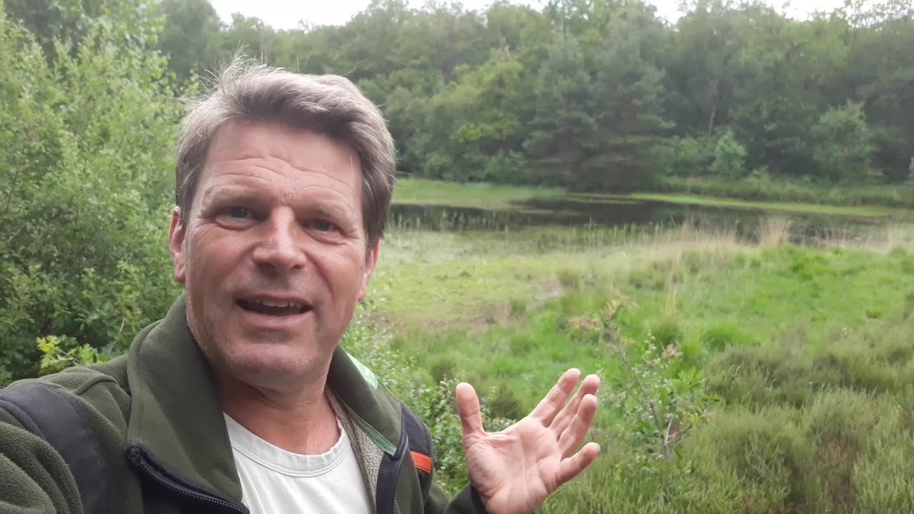 Coronaproof eropuit in Friesland: Tips van boswachter