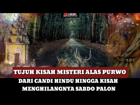 7 MISTERI ALAS PURWO BANYUWANGI! DARI CANDI HINDU MAJAPAHIT HINGGA MENGHILANGNYA SABDO PALON!