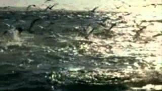 Andrés Suárez- - Piedras y charcos