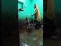 Bakraeid Eid Bakra Eidmubarak Goat Eiduladha Pakistan Qurbani Mandi Eidaladha