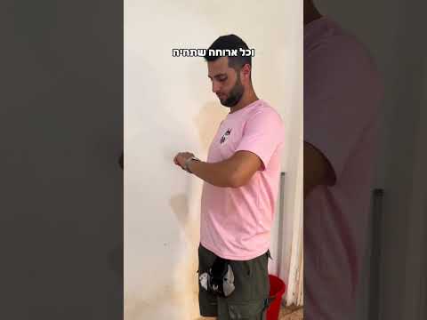 מזון לכלב - איך, מתי וכמה?