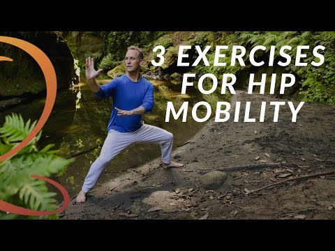 3 Essential Hip Mobility Exercises for Seniors | Qigong with Lee Holden
