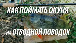Ловля на отводной поводок с берега поздней осенью