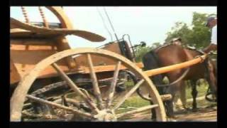 preview picture of video 'Horse riding and carriage driving holidays Portugal Europe'