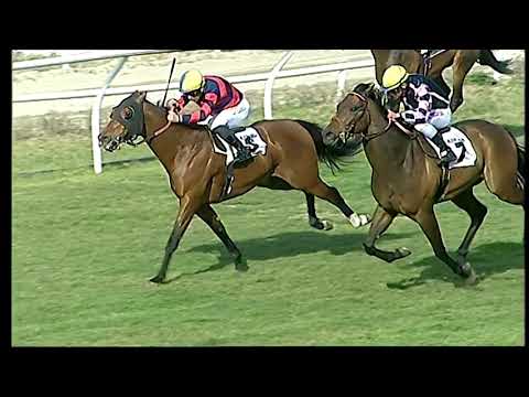 Napoli Galoppo 12/03/2022 - 3ª corsa