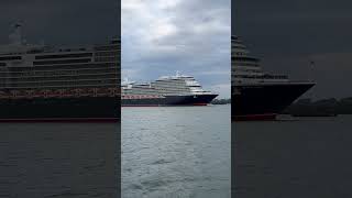 Queen Anne 😍 #shorts