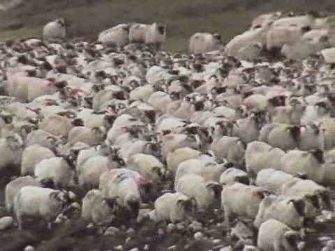 Documentary: On the Road - Stornoway Part 1/3  Producer director Brian Freeston