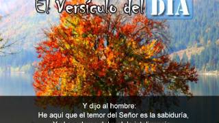 Miniatura del video: El versiculo del dia .com - Job 28 v28