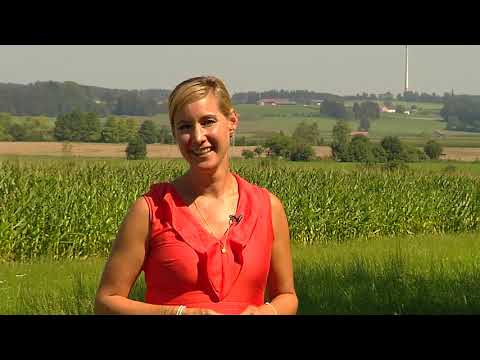 Heimatgschichtn - in Bruck auf dem Windrad