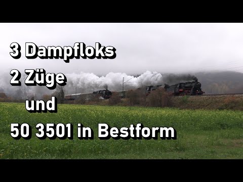3 Dampfloks, 2 Züge und 50 3501 in Bestform
